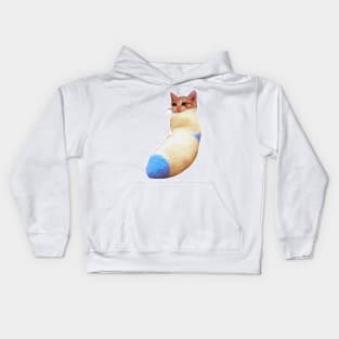 sadcat crying cat in sock meme Kids Hoodie